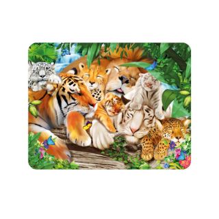 Obrázek z Magnet 3D 7x9cm - spící kočkovité šelmy (25) 